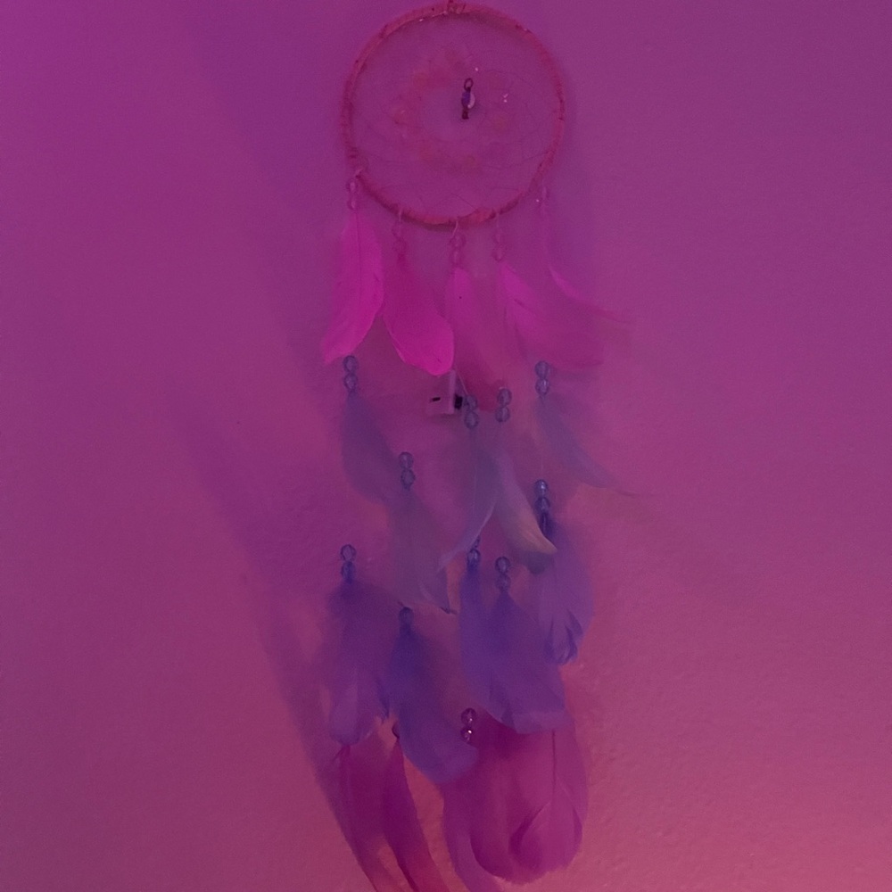 Pink and Purple Dreamcatcher Wall Decor